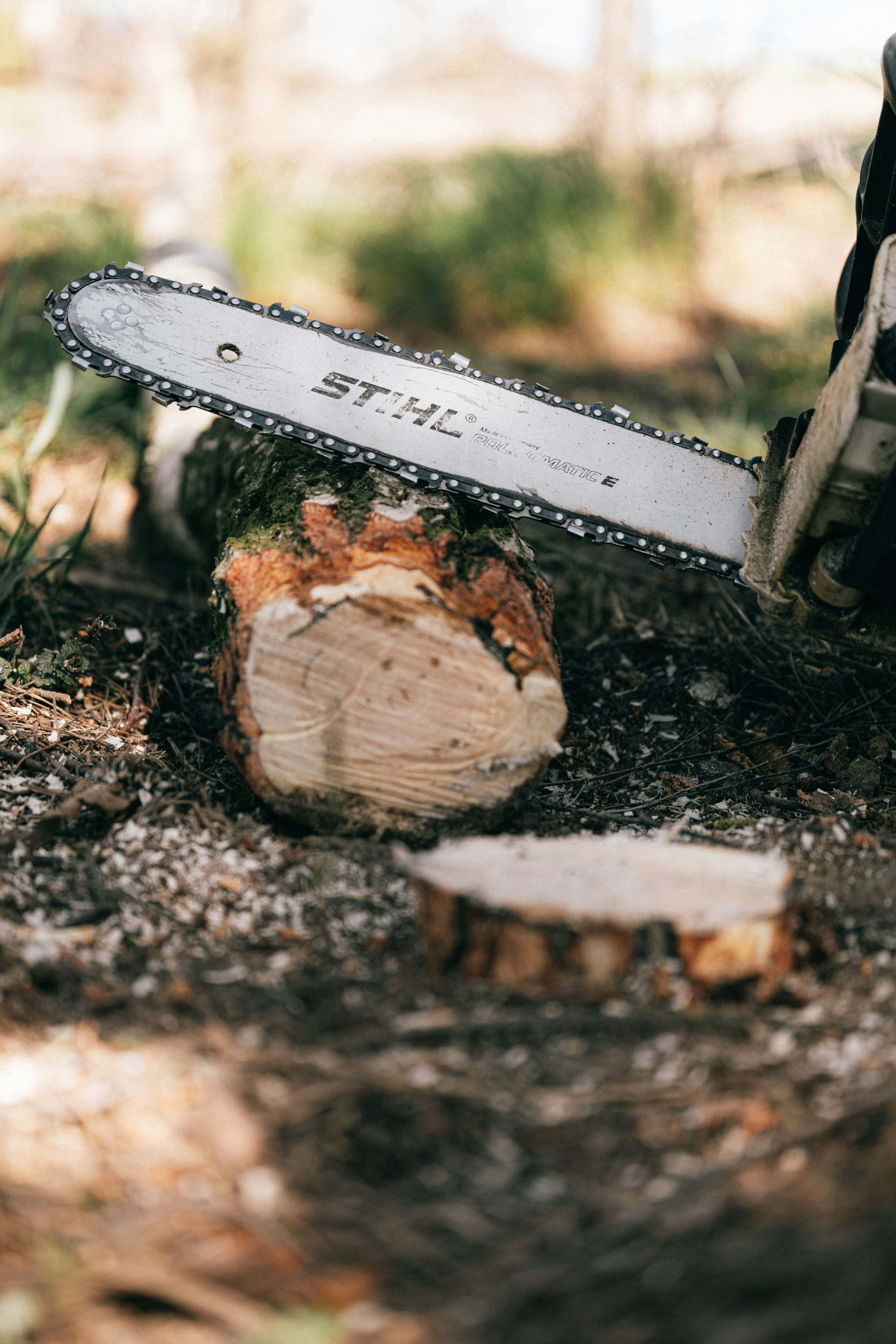 Stihl Akku Kettensäge bei der Anwendung